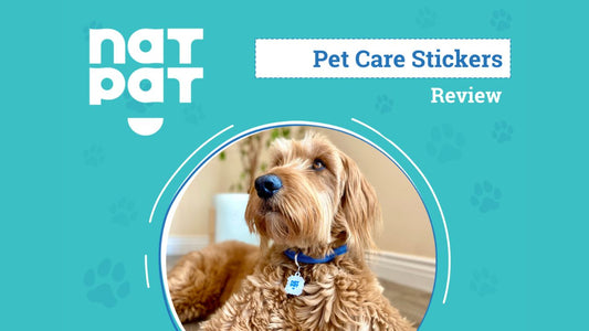 Holistic Wellness for Your Furry Friend with NATPAT Pet Stickers