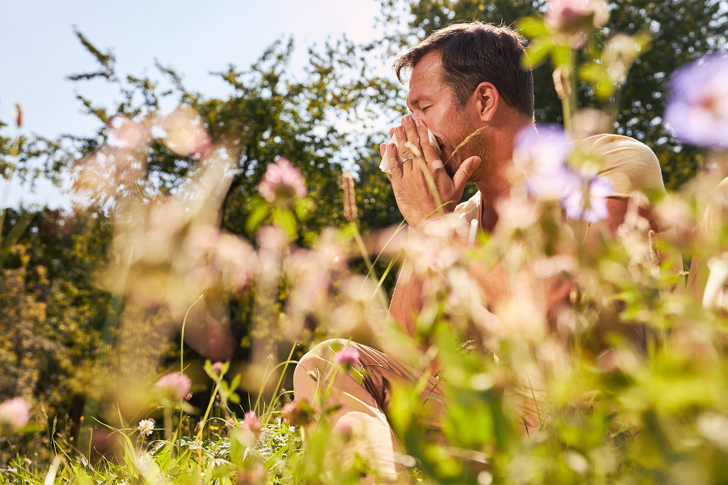 When Is Allergy Season How To Deal With Them Natural Patch Co   When Is Allergy Season 